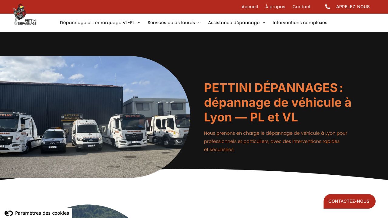 Capture du site de Pettini Dépannages