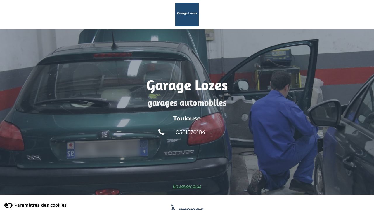 Capture du profil professionnel hébergé de Garage Lozes — Bertrand Lozes